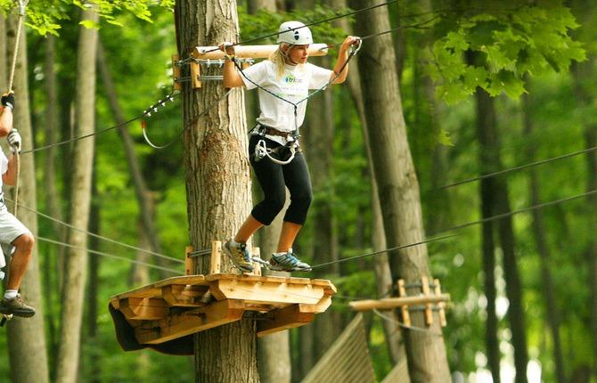 Tree Top Trekking 1