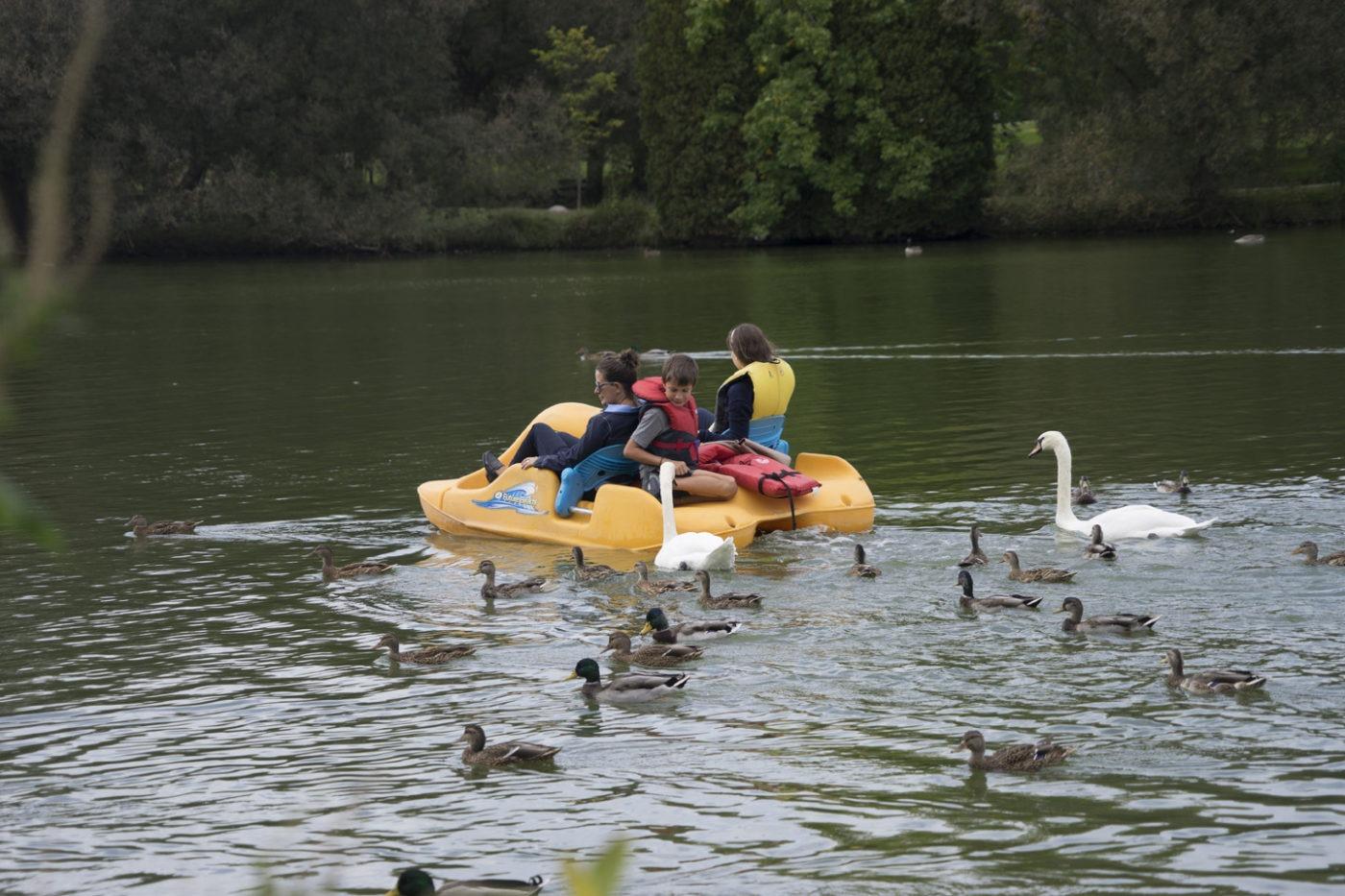 Lots of fun paddle boating on the Avon in Stratford WEB 1