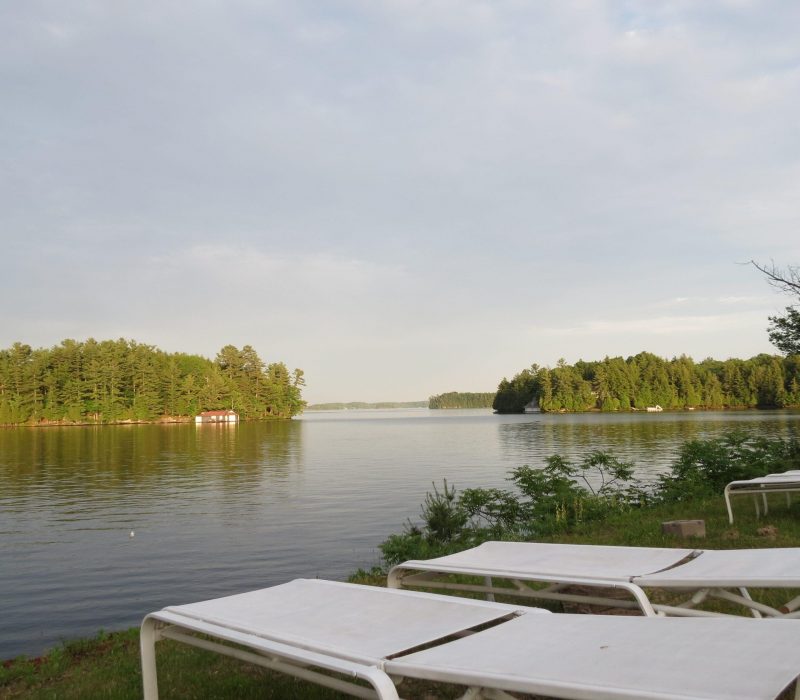 Lounge chairs overlooking the lake