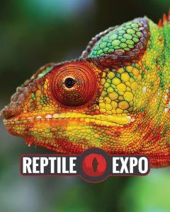 Reptile Expo banner
