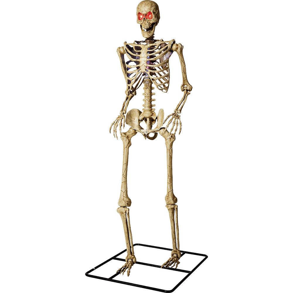 #7 RONA 10 ft skeleton