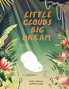 Little Clouds Big Dream