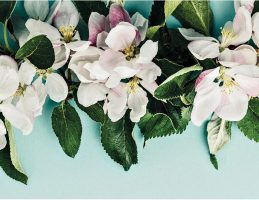 iStock 1220363895