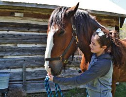 EquineTherapyGirl Hero