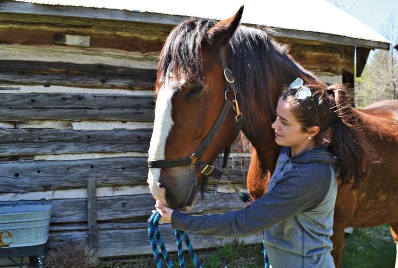 EquineTherapyGirl Hero