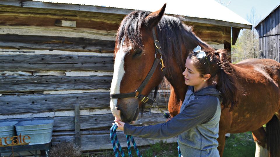 EquineTherapyGirl Hero