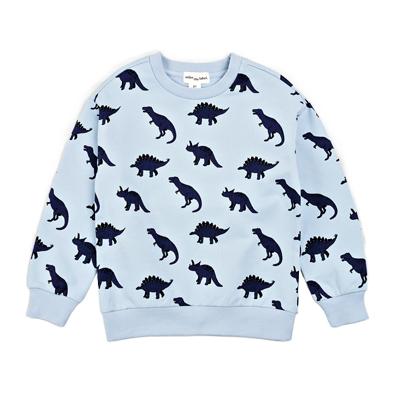 #7 Dino Print on Dusty Blue Sweatshirt