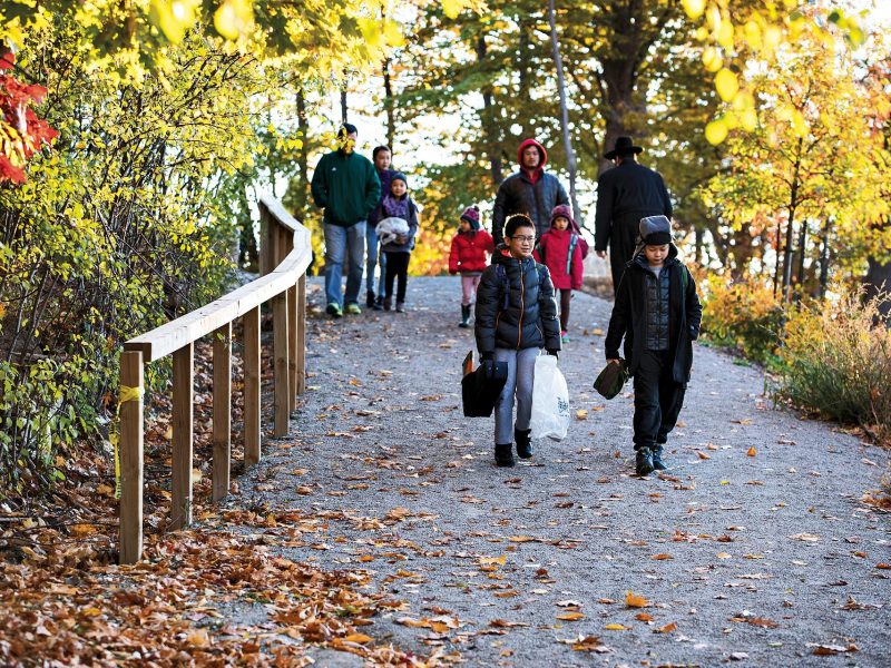 Toronto Waldorf School