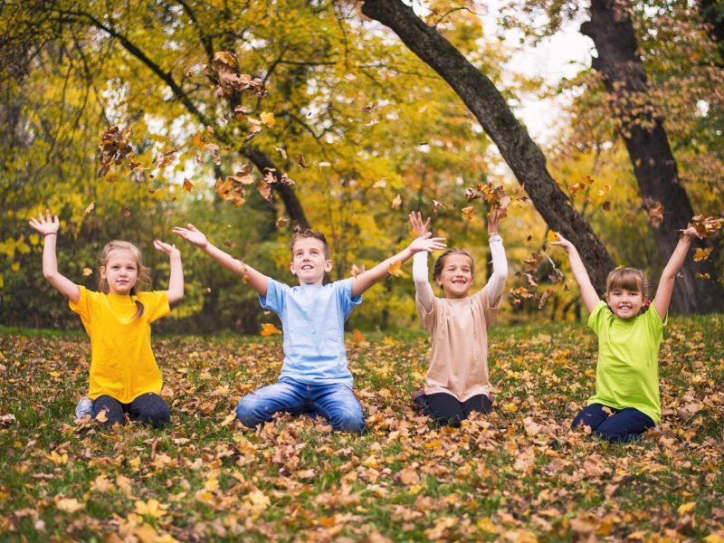 Group of kids throwing autumn leaves