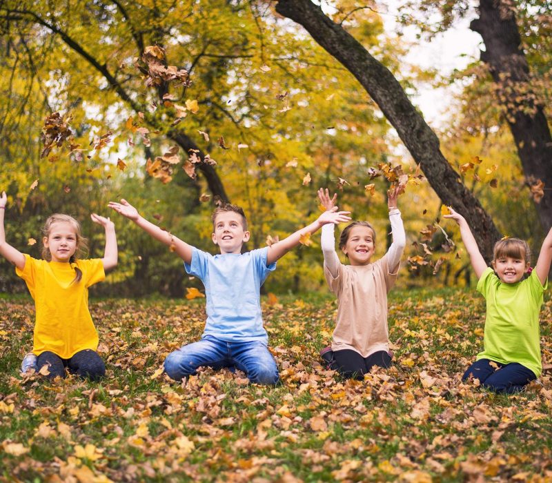 Group of kids throwing autumn leaves