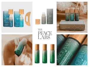 #12 The Peace Labs 2025 #12 The Peace Labs 2025