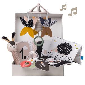13475 Newborn Black & White Kit 2000x2000