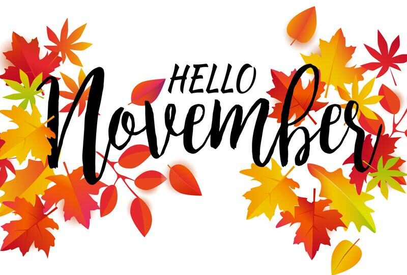 iStock 1179637177 Hero