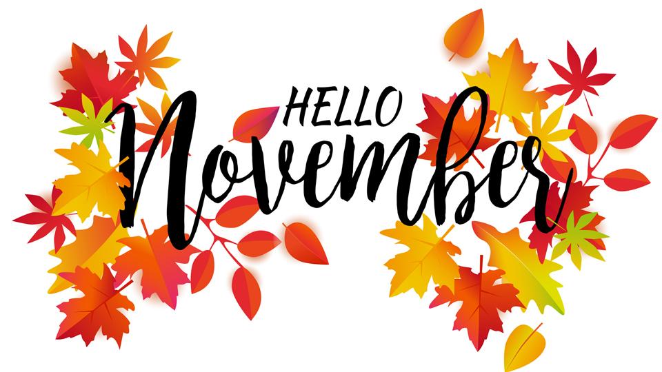 iStock 1179637177 Hero