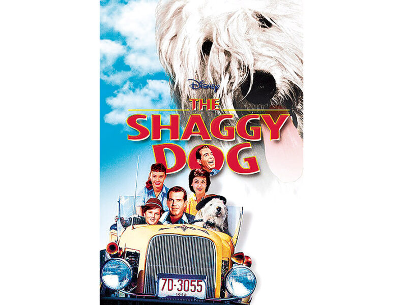 The Shaggy Dog