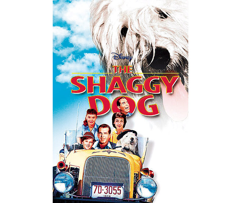 The Shaggy Dog