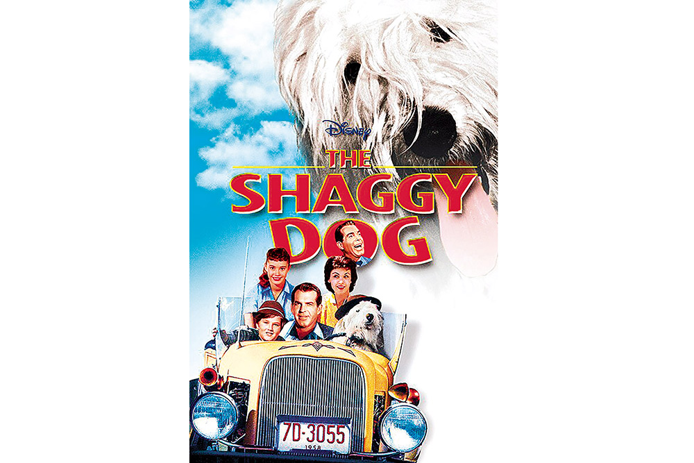 The Shaggy Dog