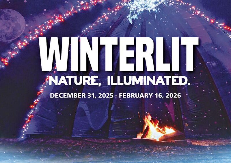 Winterlit CPAdvertorial