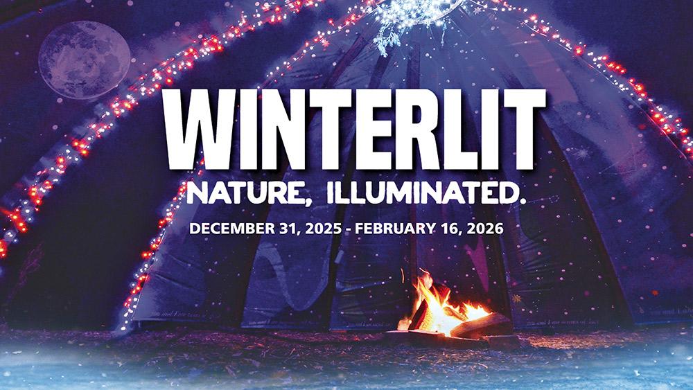 Winterlit CPAdvertorial