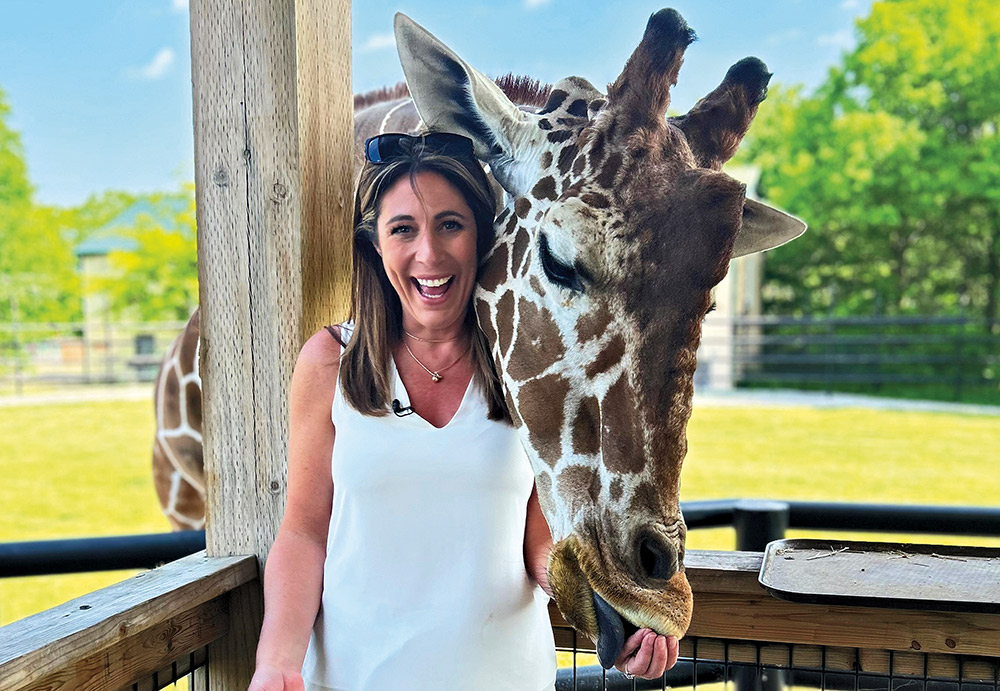 chch griaffe 2 croped