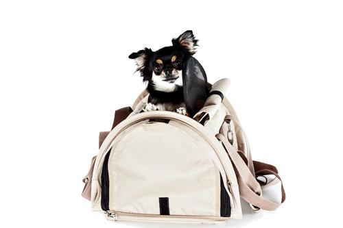 iStock-1969625988 iStock 1969625988