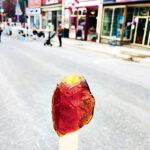 Muskoka Maple fest 3