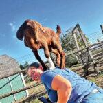 woman with goat on top