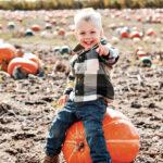 little boy sitting on a pumpkin