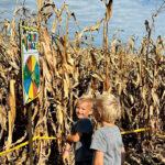 two little boys in the corn maze